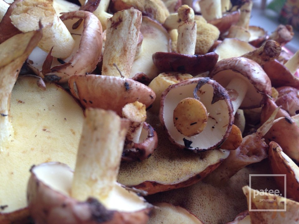 Маринованные с зеленью укропа маслята - Шаг 1