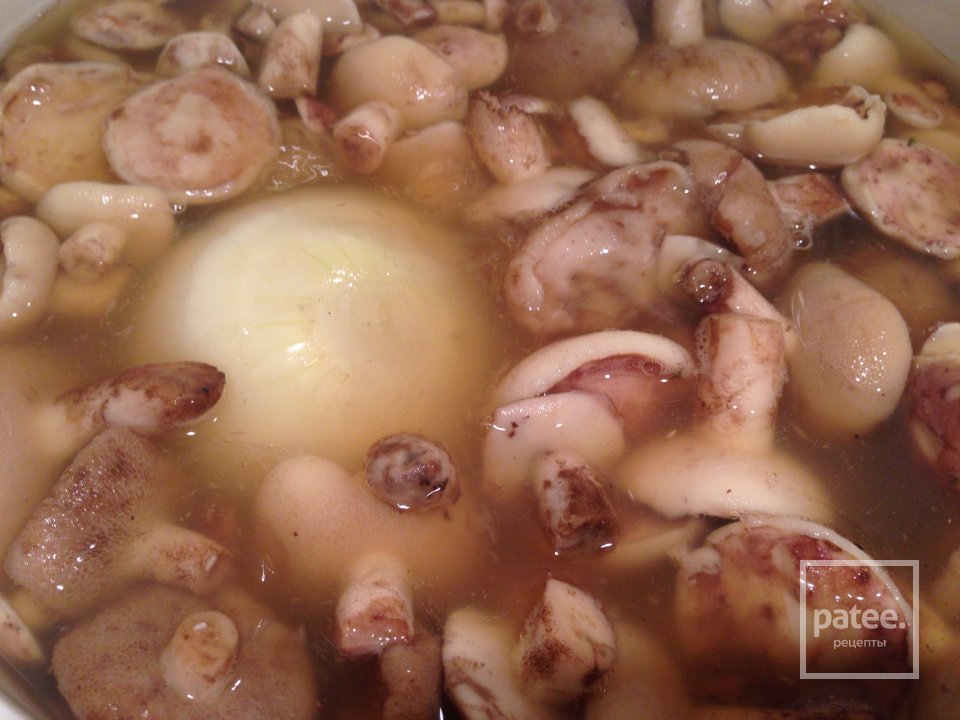 Маринованные с зеленью укропа маслята - Шаг 3