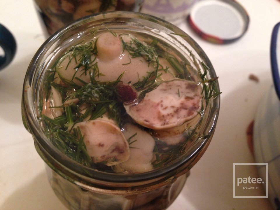 Маринованные с зеленью укропа маслята - Шаг 6