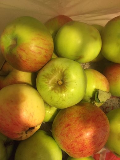 Напиток из яблок и сливы - Шаг 2