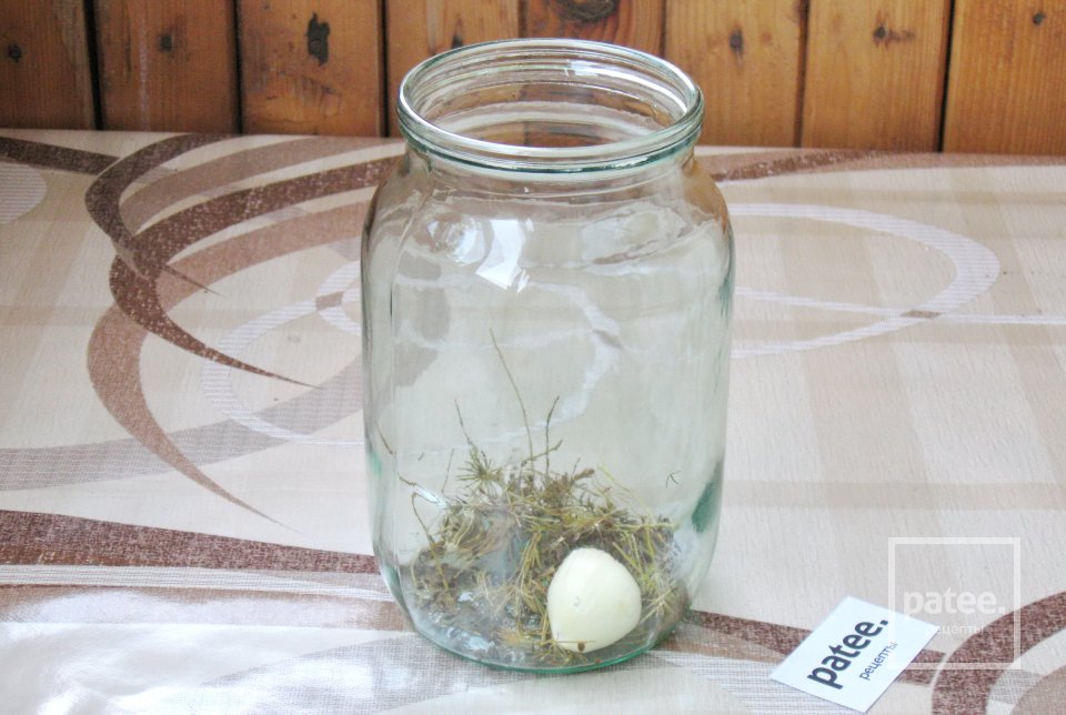 Маринованные огурцы с яблоками - Шаг 3