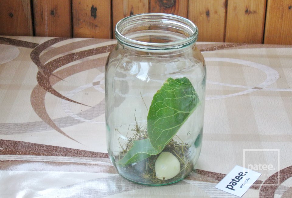 Маринованные огурцы с яблоками - Шаг 4