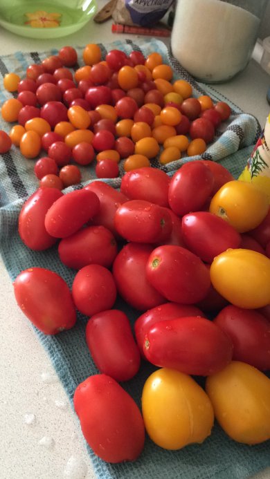 Маринованные помидоры - Шаг 1