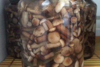 Маринованные опята