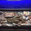 Владимир Боровиков