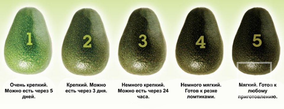 Бутерброд с авокадо - Шаг 1