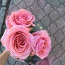 Кристина Горшкова