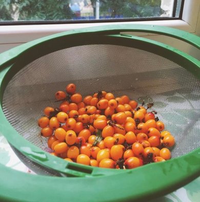 Облепиховый чай - Шаг 1