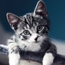 Виктория Щербакова