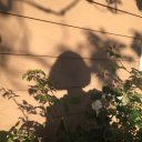 Анастасия Королёва