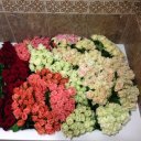 Залина Лигидова