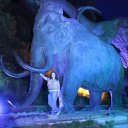 Анастасия Шепелева