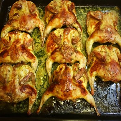 Перепела "особые" - Шаг 7