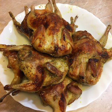 Перепела "особые" - Шаг 8