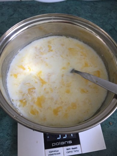 Ирис домашний (Caramels) - Шаг 2