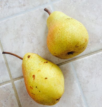 Пирог из груш - Шаг 1