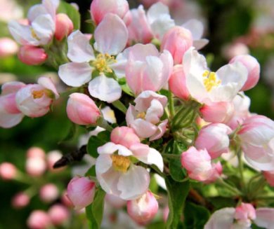 А вы бы простили ложь?