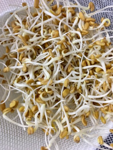 Салат "Эльбрус" с томатами, проростками пажитника и семенами подсолнечника. - Шаг 2