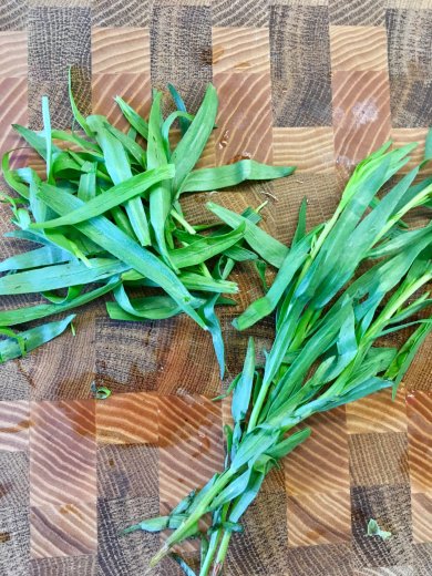 Салат "Эльбрус" с томатами, проростками пажитника и семенами подсолнечника. - Шаг 3