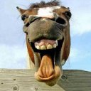 Максим Прохоров