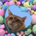 Татьяна Свиридова