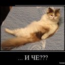 Влад Романов