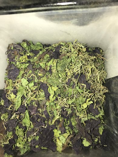 Спагетти по-флотски - Шаг 5