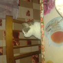 Маргарита Головина