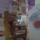 Маргарита Головина