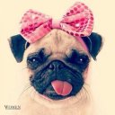 Гузель Каримова