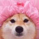 Рита Степанова