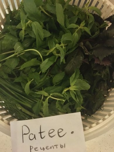 Бадымчан долмасы (Долма из баклажана) - Шаг 6