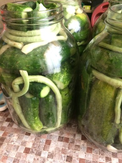 Маринованные огурцы со спаржевой фасолью - Шаг 2