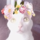 Елизавета Ильина