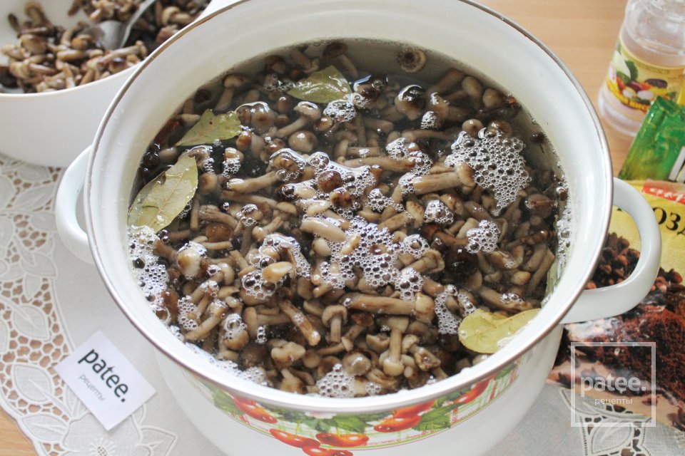 Опята маринованные в сладком маринаде - Шаг 14