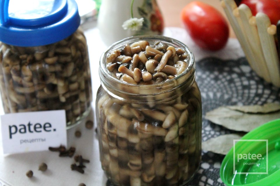 Опята маринованные в сладком маринаде - Шаг 16