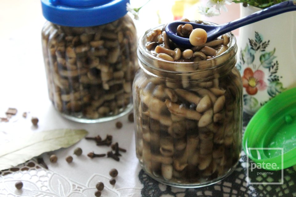 Опята маринованные в сладком маринаде - Шаг 17