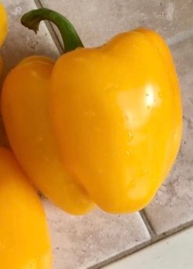 тыква 🎃 тушёная с мясом - Шаг 3