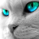 Ольга Федосеева