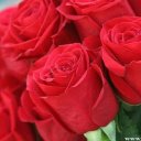 Guzalya Abdullaeva-Toxtasunova