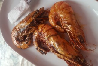 Черная тигровая креветка