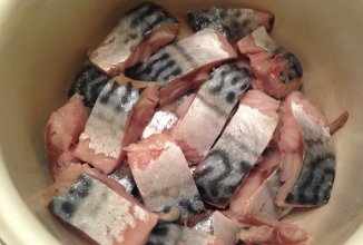 Сагудай из скумбрии