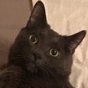 Бигл Биглов