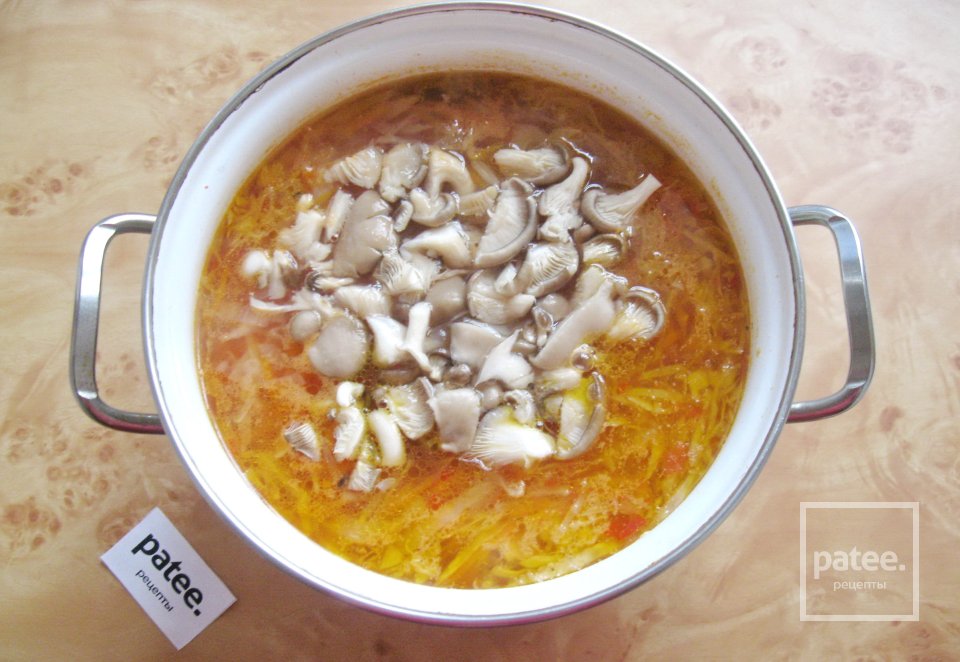 Щи с грудкой. Щи с курицей. Щи на курином бульоне. Щи из свежей капусты. Суп щи из квашеной капусты.