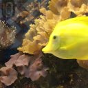 Мария Фатеева