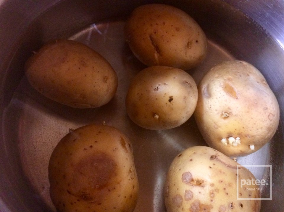 Тёплый салат с кальмарами и фенхелем. - Шаг 2