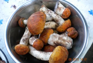 САЛАТ «ФЕЄРВЕРК»