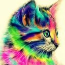 Данил Пастух