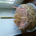 Елизавета Сердюк