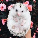 Людмила Набиева